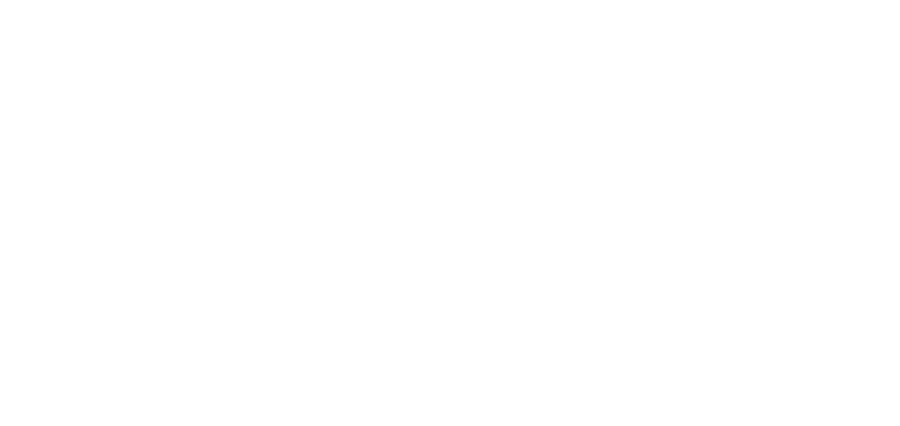 Don Town Logo